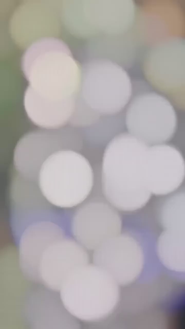 LITO AirPods Pro 2 with Pouch Buzzer Magnet TypeC.